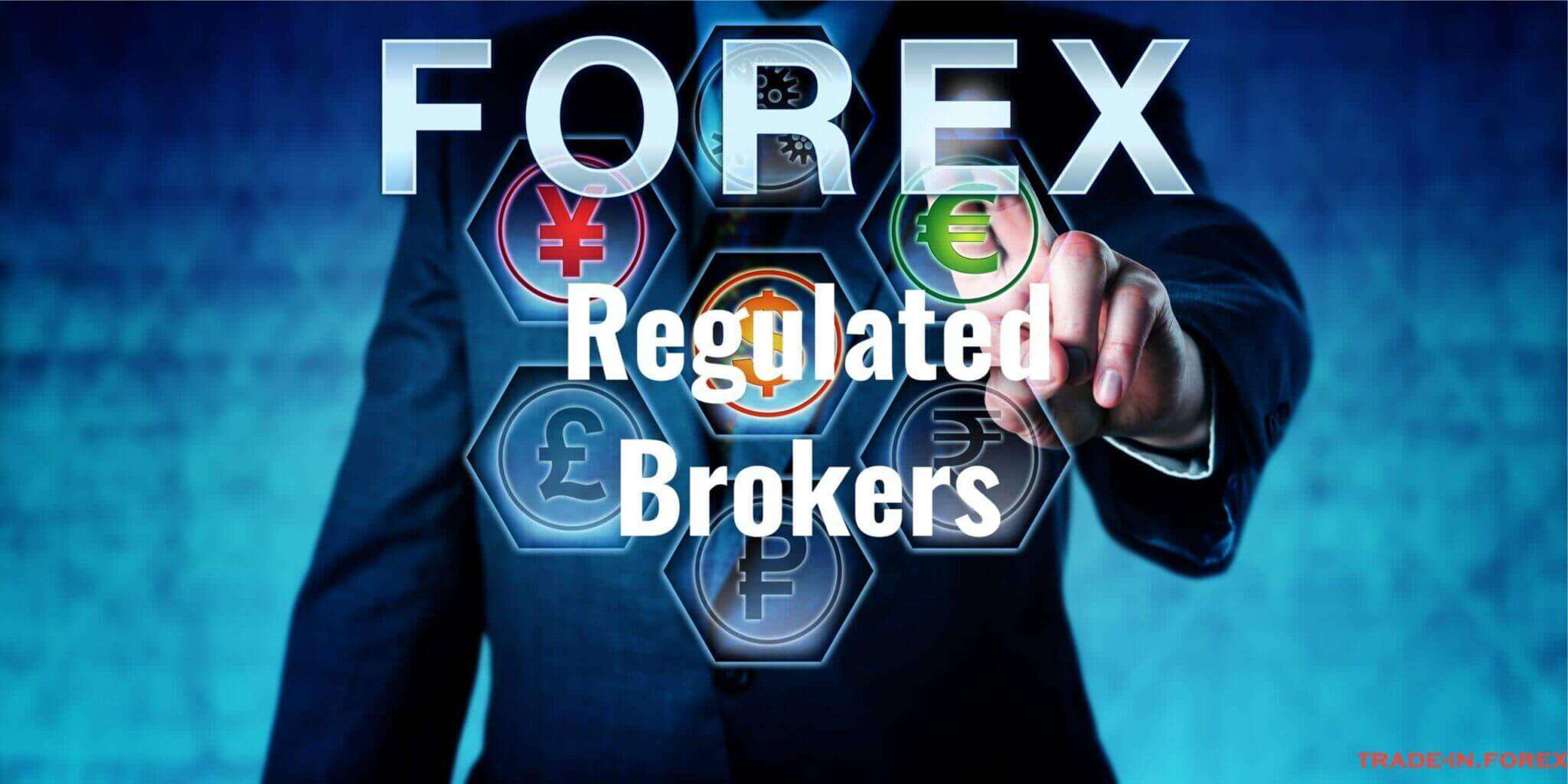 Best Forex Brokers 2025