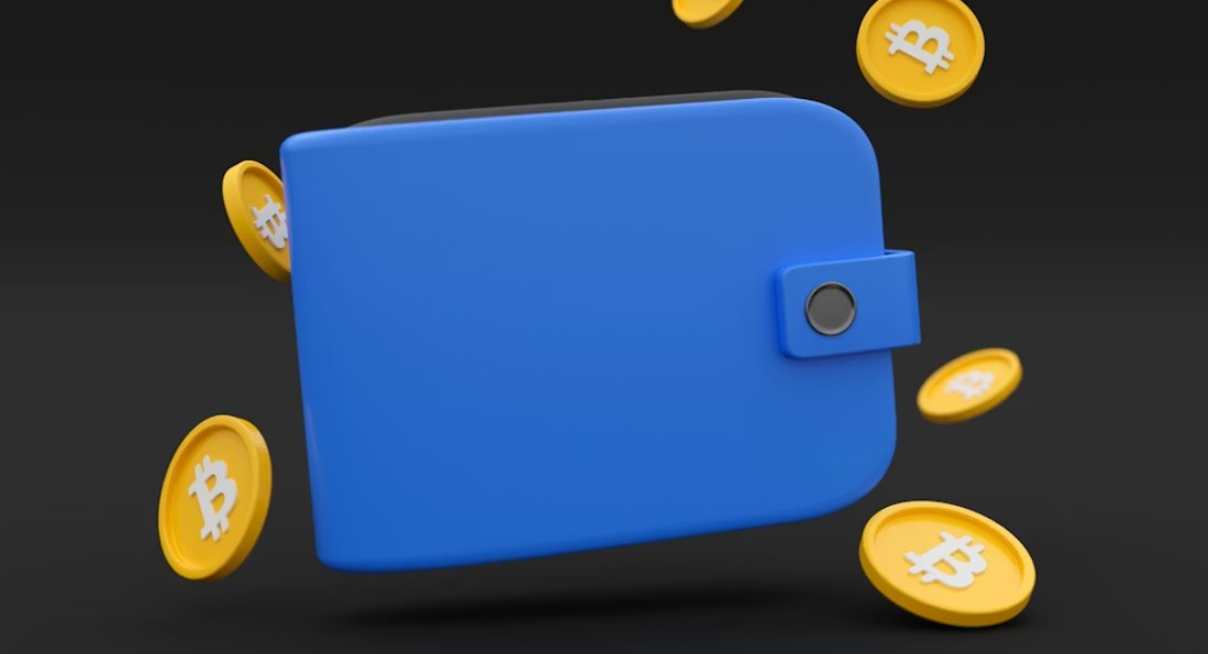 Crypto Wallets & Their Types